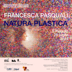 Natura plastica